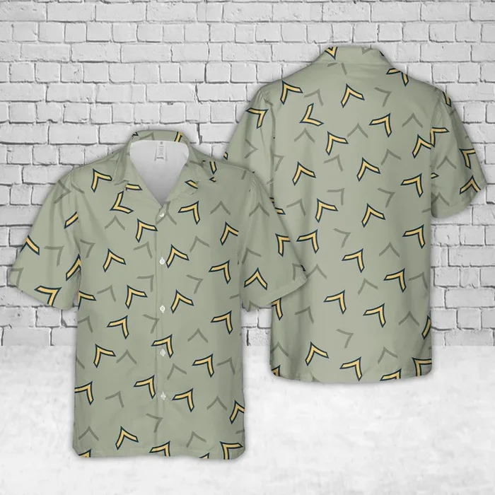 Army Private Rank Hawaiian Shirt – Fanshubus.com