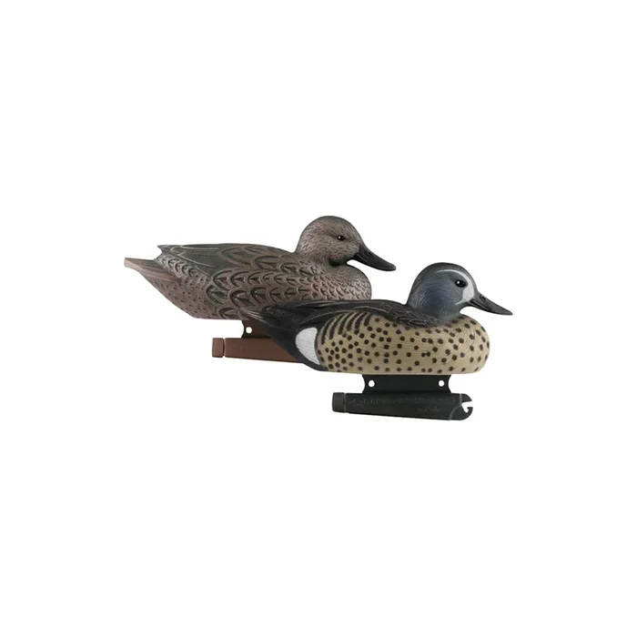 Avery Life-Size Blue-Winged Teal 6pk