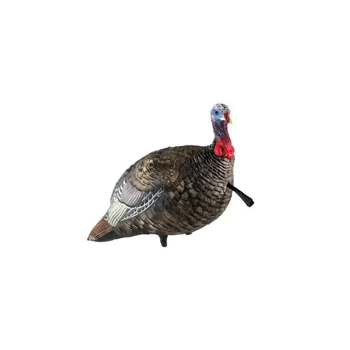 Avian-X LCD Jake Quarter Strut Turkey Decoy