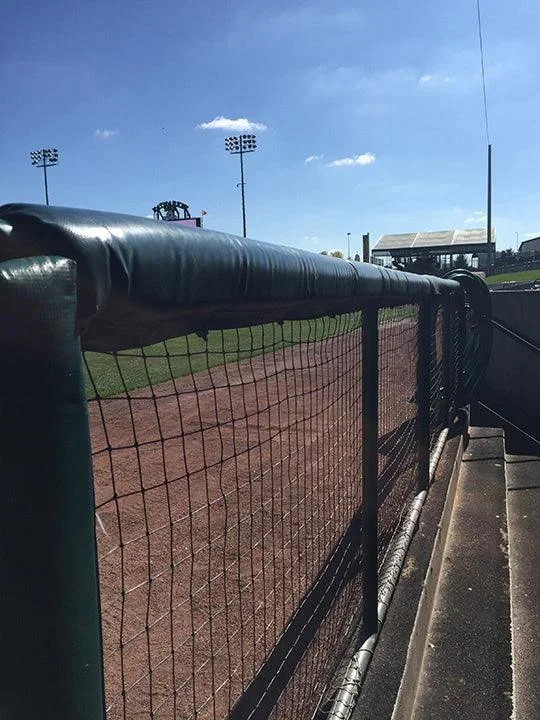 Bison Fence Rail and Dugout Padding