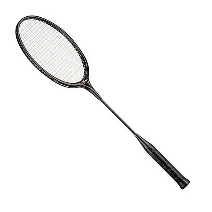 Champion Sports Molded ABS Frame Badminton Racket