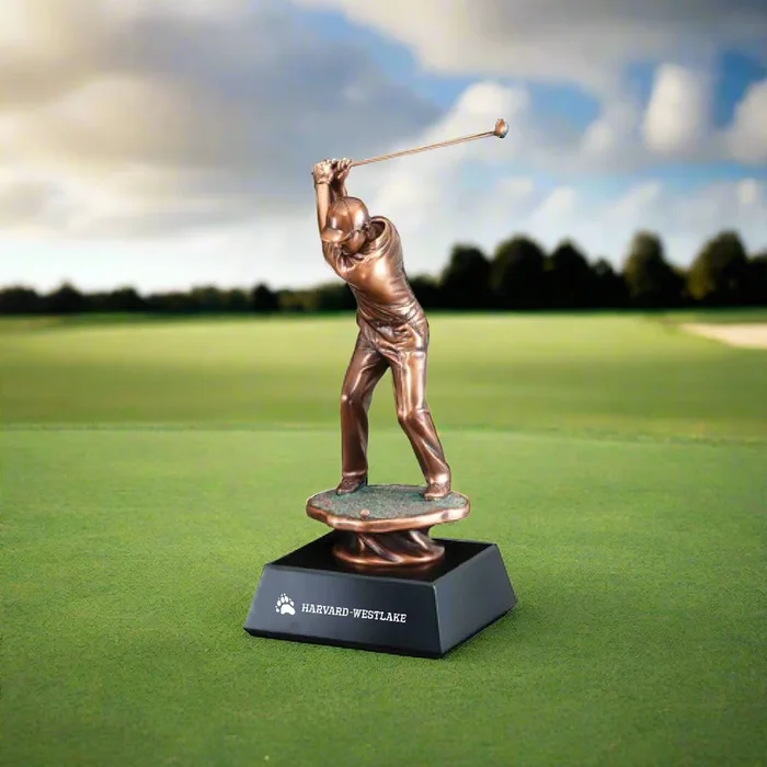 Custom Engaved Bronzed Golfer Trophy