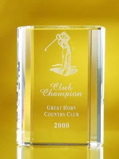Custom Engraved Merit Award