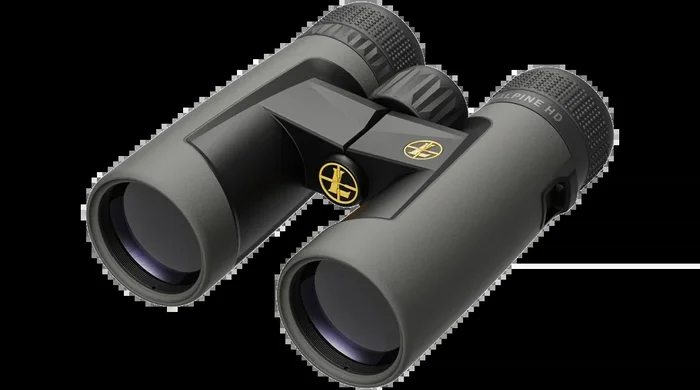 Leupold BX-2 Alpine HD 10x42mm Roof Binoculars Shadow Gray