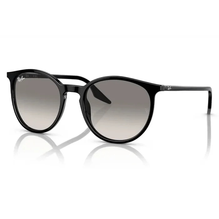 Ray-Ban RB2204 Sunglasses