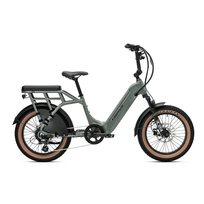 Troxus Lynx 2-Up Electric Bike cargo 2 seater ebike