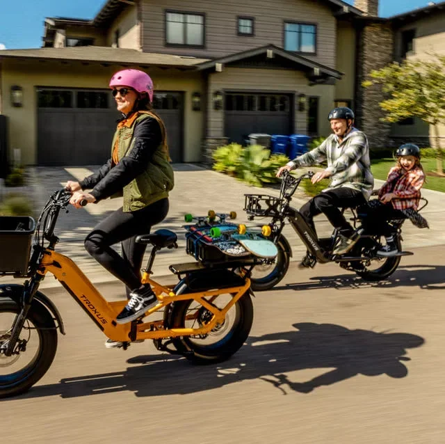 Troxus Lynx Cargo E-bike New Electic Bike Option Child Carrier