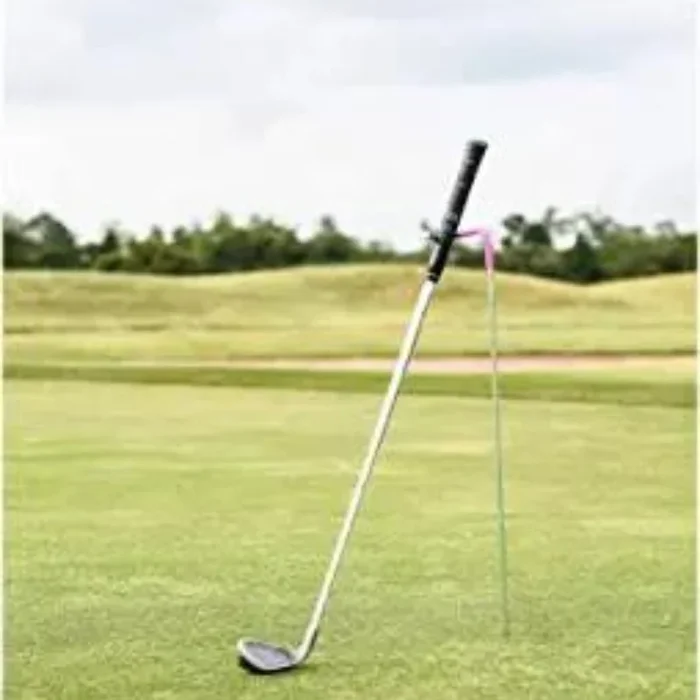 V-Shaped Golf Club Stand and Club Caddy Made of Highly Durable Zinc Plated Steel (Purple)
