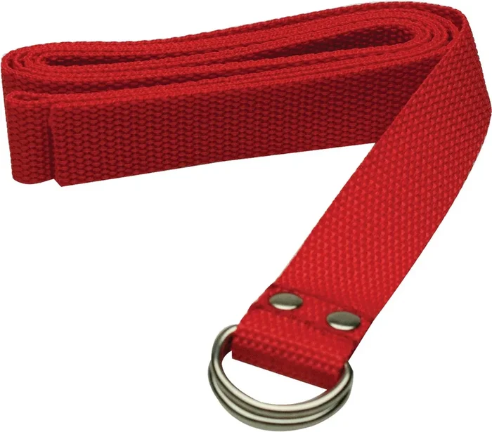 WEB FOOTBALL BELT 1″