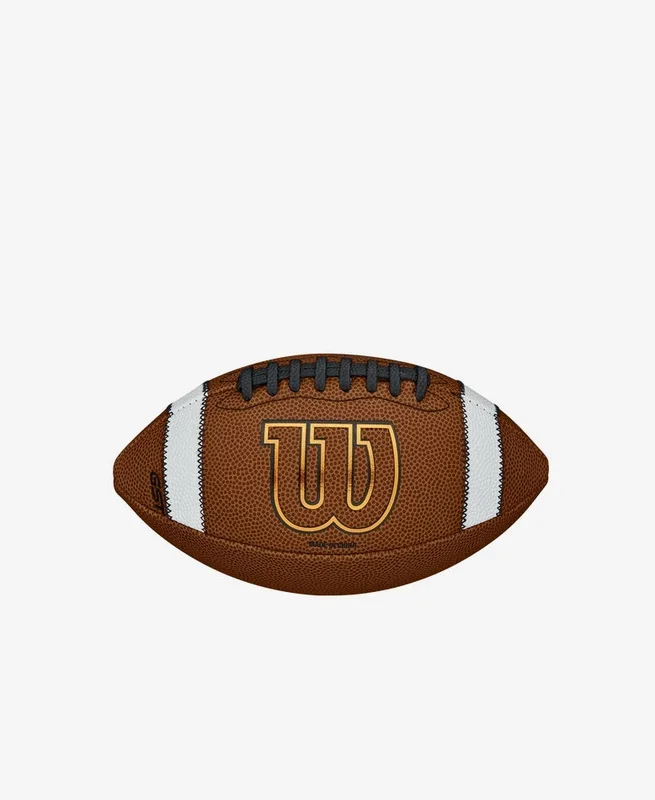 Wilson NCAA GST Composite Football